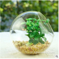 Real Beautiful Functional Plant Terrarium